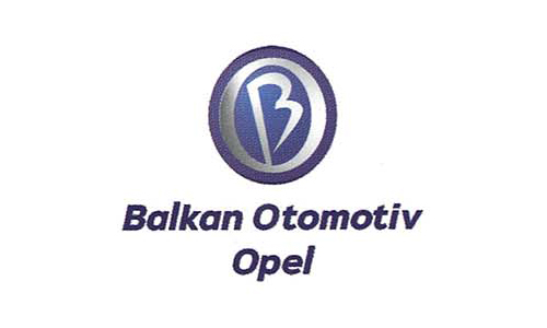 Alternate Text