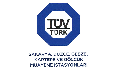 Alternate Text
